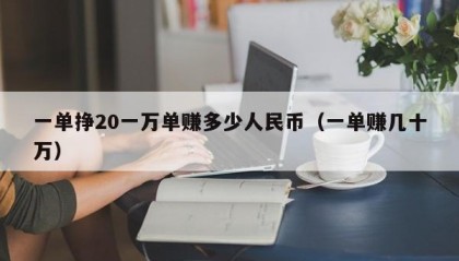 一单挣20一万单赚多少人民币（一单赚几十万）